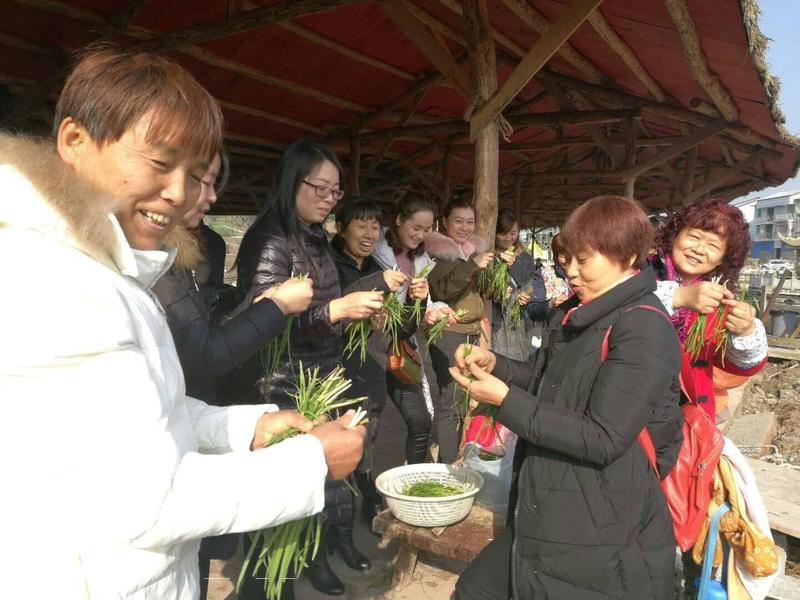 聪明树“相约金秋丰收节、体验成长亲子情”.jpg